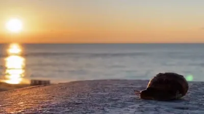 Эпический рассвет на море для Марианны. Фотограф в Одессе, Киеве, Донецке  Helena