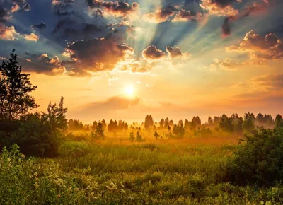 Фото солнца Природа Поля Пейзаж рассвет и закат