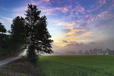 Рассвет на маковом поле ❤️ Наслаждайтесь ✨ | Instagram