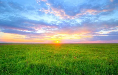 Бесплатное изображение: вечер, рассвет, Пшеничное поле, Пшеница, закат,  пейзаж, поле, трава, луг, сельской местности
