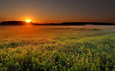 Фотография Солнце Природа Поля Пейзаж рассвет и закат