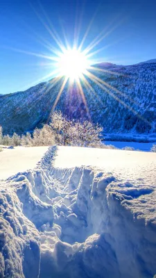 Рассвет зимой - красивые фото