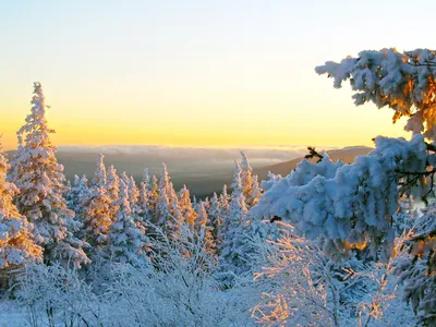 Фото Финляндия Southwest Finland Зима Природа снеге рассвет и закат