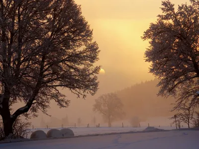 Зимний рассвет в горах . стоковое фото ©AndrewMayovskyy 81634492