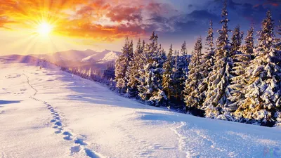 Рассвет в горах зимой - это начало нового дня» — создано в Шедевруме