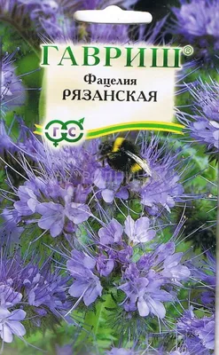 Трава Фацелия Рязанская 20гр (Гавриш) в интернет магазине Baza57.ru по  выгодной цене 32 руб. с доставкой