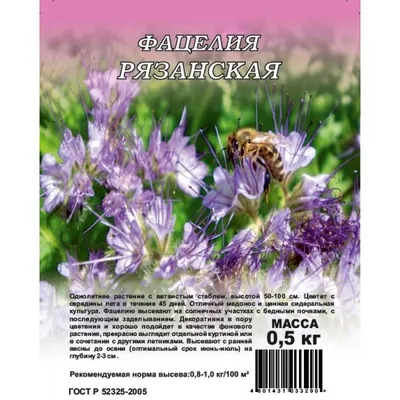 Фотокаталог растений: Фацелия пижмолистная (Phacelia tanacetifolia)