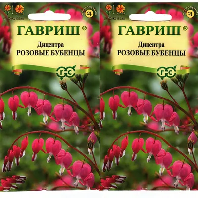 ᐈ Дицентра Великолепная (Разбитое Сердце) (Dicentra Spectabilis) ᐈ Одесса  100 ГРН - OBYAVA.ua™ №8232749