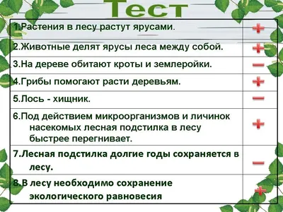 Растения Беларуси. Расліны Беларусі. Интерактивный плакат