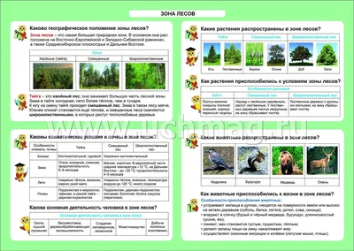 Облако знаний. Дыхание и питание растений. Окружающий мир. 3 класс