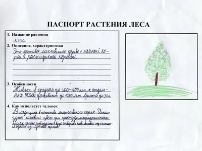 задание по окружающему миру Плешаков 4 класс Запиши названия растений леса  которые вам удалось - Школьные Знания.com