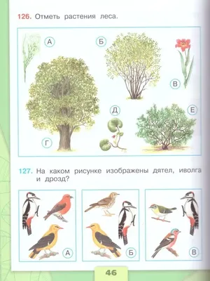 Окружающий мир 4 класс. Тетрадь для практических работ с дневников  наблюдений. Часть 1. ФГОС. Тихомирова Е.М. - купить книгу c доставкой по  Москве и России в книжном интернет-магазине Рослит