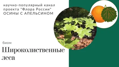 Страница 164 — ГДЗ по Окружающему миру для 4 класса Учебник Плешаков А.А.  Часть 1. - ГДЗ РЕД