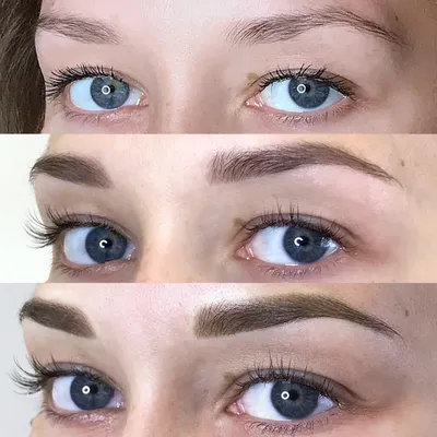 Перманентный макияж бровей 😍 ⚜️ техника теневая растушёвка ⚜️ фото сразу  после процедуры ⚜️ после заживления бровки посветлеют до… | Instagram