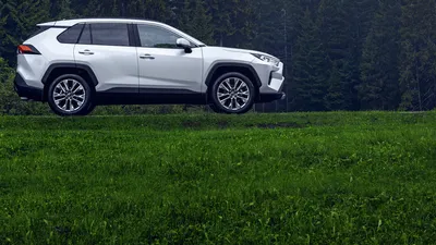 Фото Toyota RAV4 в новом кузове, фото салона