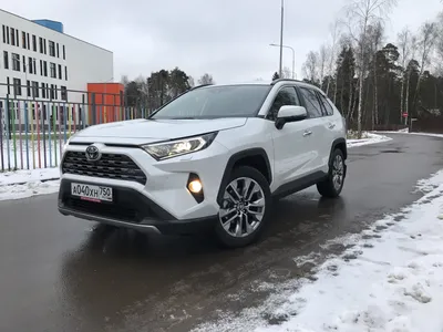 Toyota RAV 4 2019 - 2023: фото в новом кузове и салона