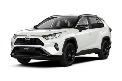 Фото Toyota RAV4 в новом кузове, фото салона