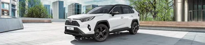 Первый среди RAVных - Отзыв владельца автомобиля Toyota RAV4 2020 года ( V  (XA50) ): 2.5 AT (199 л.с.) 4WD | Авто.ру