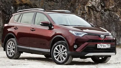 Toyota RAV4 2023-2024 | Купить новый Тойота РАВ 4 в СПб у официального  дилера