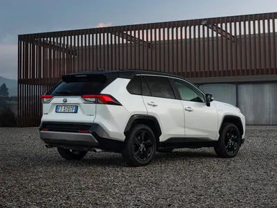 В Украине стартуют продажи обновленных комплектаций линейки Toyota RAV4  2022 года