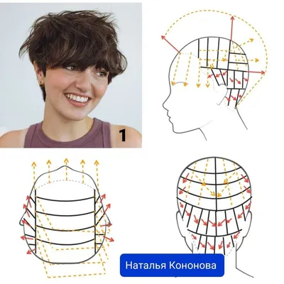 Стрижки, которые помогут спрятать залысины в зоне лба. Часть 149 | Наталья  Кононова | Дзен