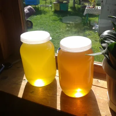 Алтайское разнотравье мед 1 кг - купить по цене 538.0000 руб.