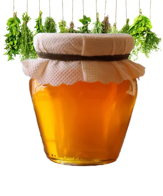 Разнотравье мёд, цвет, вкус, свойства, применение