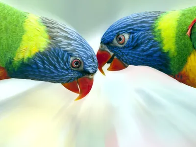 Разноцветные птицы. Стая летающих радужных птиц. Бесшовный фон с цветными  птицами. Векторная иллюстрация Векторное изображение ©maryia777 290685940