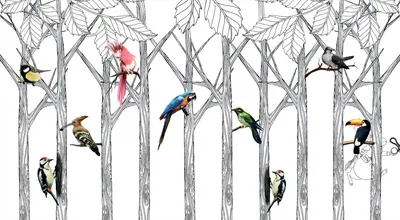 Красивые разноцветные птицы (15 Фото) » Невседома