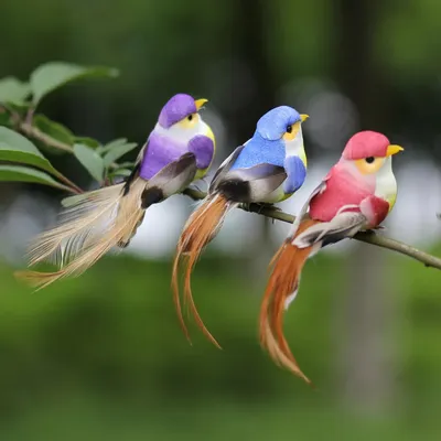 Pin by CLAUDETE MARTINS on Passarinhos | Bird photography, Beautiful birds,  Animals beautiful