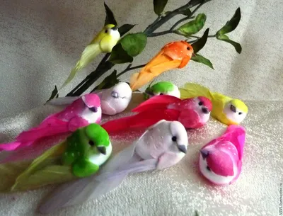 Новая акварель! Такие вот разноцветные птички! #акварельныйрисунок  #акварель #птицы #рисуемптиц #веселыептички #рисуемакварелью #цвет… |  Instagram