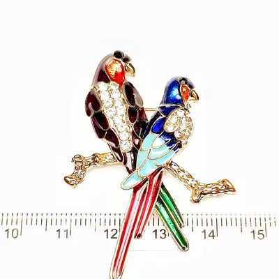 птица в дикой природе с разноцветными перьями, картинка птица феникс,  Феникс, птица фон картинки и Фото для бесплатной загрузки