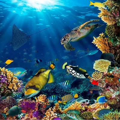 Искусственные разноцветные пластиковые фотообои 5 шт. для аквариума |  AliExpress