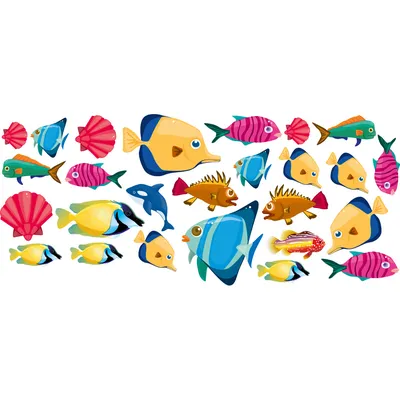 Цветные тернеции — рыбки карамельки в аквариуме