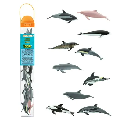 Дельфины: виды, интересные факты, что едят - урок по биологии | Моя Школа |  OBOZ.UA