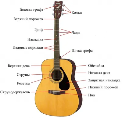 Виды гитар | Guitar Blog | Дзен