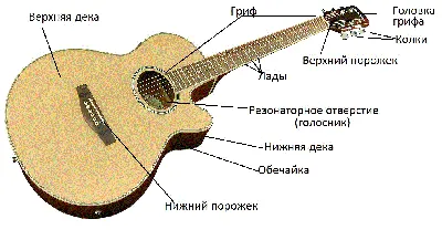 Акустическая гитара | это... Что такое Акустическая гитара?