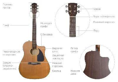 Как выбрать гитару для начинающего?