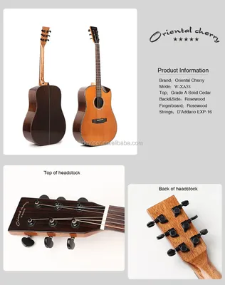 Основные виды гитар, которые сегодня пользуются спросом | Общество (февраль  2020) | Общество