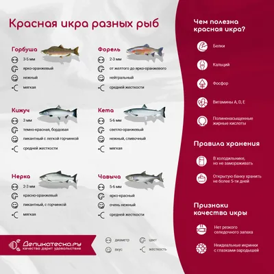 Разновидности красной рыбы фото фото