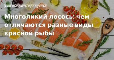 Макрель или скумбрия: чем отличаются рыбы, что выбрать? | Defa group