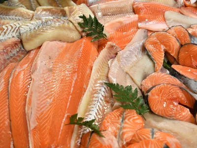 Эксперт назвал самые полезные виды красной рыбы - РИА Новости, 22.02.2023