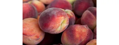 Различные виды персиков стоковое изображение. изображение насчитывающей  рынок - 44921195