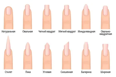 Формы ногтей для маникюра: «мягкий квадрат», «миндаль» и «овал» - Лайфхакер