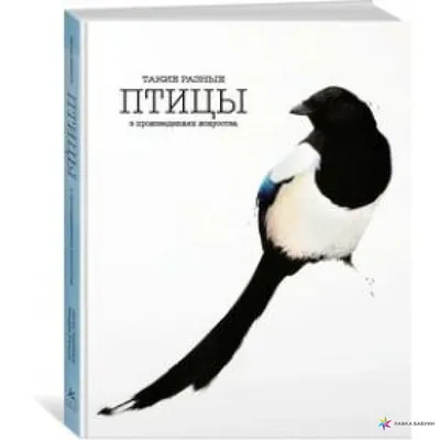 Такие разные ПТИЦЫ в произведениях искусства, , КоЛибри купить книгу  978-5-389-13337-2 – Лавка Бабуин, Киев, Украина