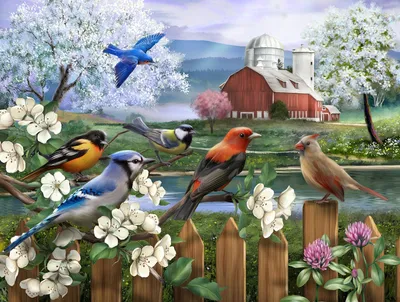 4 картинки: разные птицы на улице…» — создано в Шедевруме