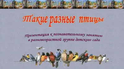 Купить книгу «Такие разные ПТИЦЫ в произведениях искусства», Энгус Хайленд  Кендра Уилсон | Издательство «КоЛибри», ISBN: 978-5-389-13337-2