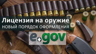 У восьми тысяч североказахстанцев есть на руках разрешение на оружие —  Петропавловск News