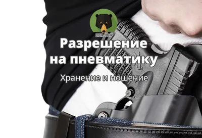 Легализация травматического оружия в Украине: что нужно знать - Відкритий  ліс