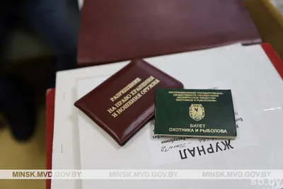 С 1 июня аннулируется разрешение на оружие, выданное гражданам России и  Белоруссии, получившим ВНЖ в Латвии | Mixnews